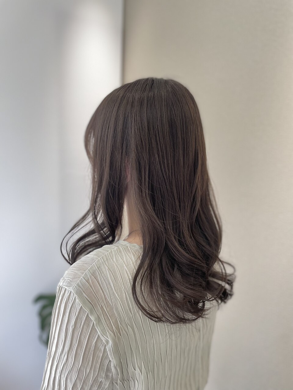 イルミナカラー